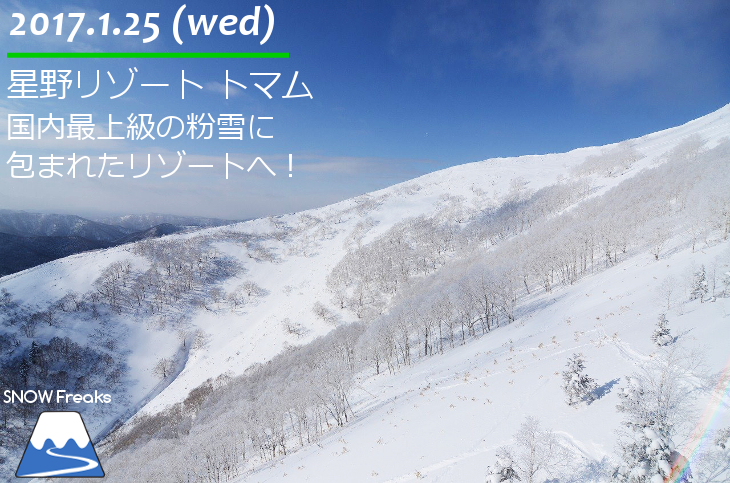 星野リゾート トマムスキー場 国内最上級の粉雪に包まれたリゾートへ！